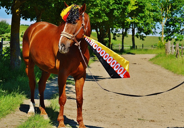 并非诺坎普首秀，世体：弗里克曾跟随拜仁在诺坎普踢过比赛