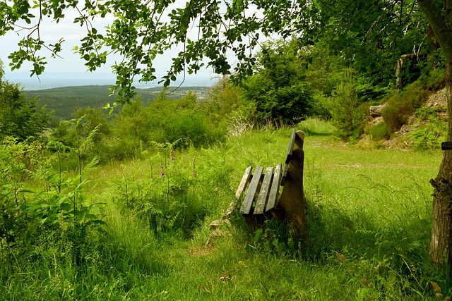 克鲁伊维特四子：我的心属于荷兰，若有天被荷兰征召就太棒了