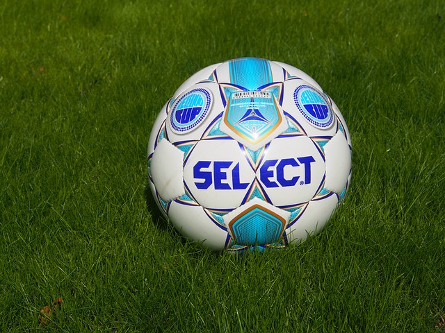 帕夫洛维奇盛赞米兰团队精神逆转取胜